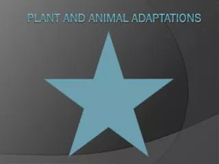 Plant and Animal Adaptations