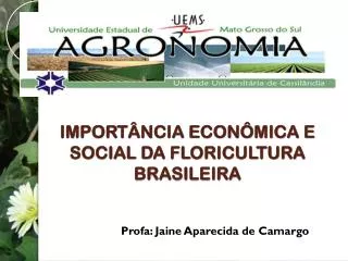 IMPORTÂNCIA ECONÔMICA E SOCIAL DA FLORICULTURA BRASILEIRA