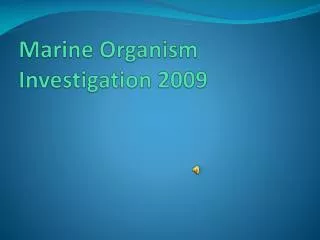 Marine Organism Investigation 2009