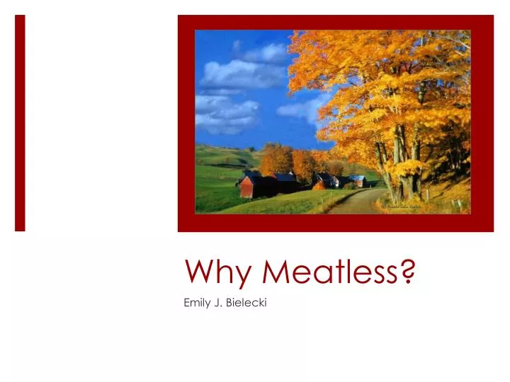 why meatless