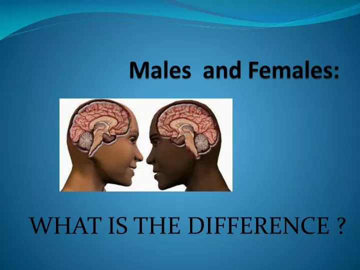 males and females