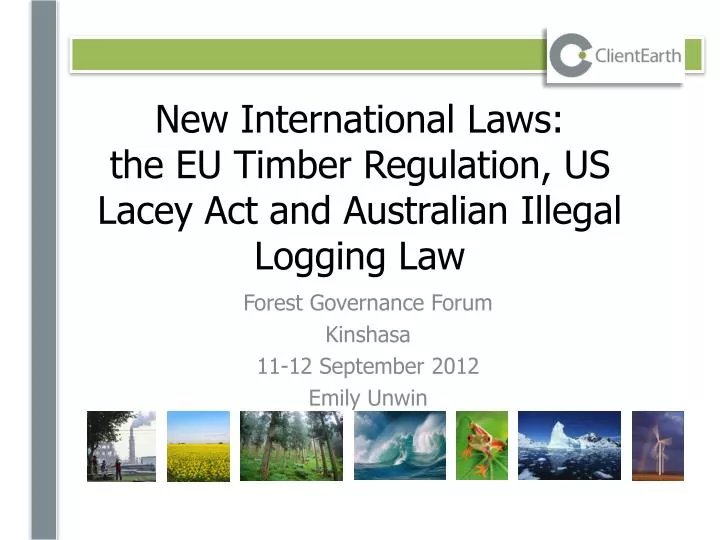 new international laws the eu timber regulation us lacey act and australian illegal logging law