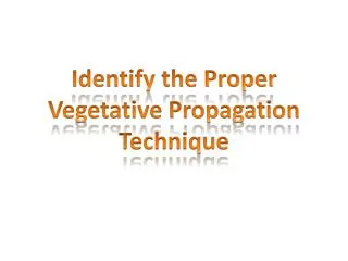 Identify the Proper Vegetative Propagation Technique