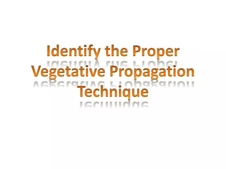 identify the proper vegetative propagation technique