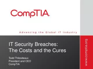 IT Security Breaches: The Costs and the Cures