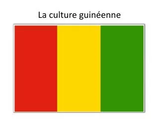 la culture guin enne
