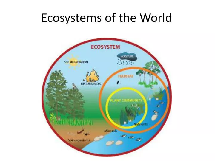 ecosystems of the world