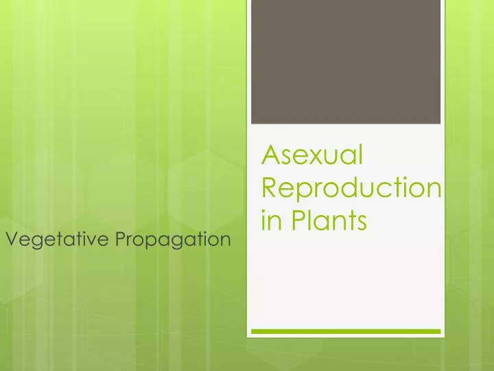 asexual reproduction in plants