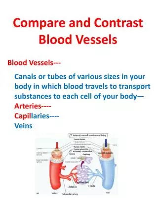 Compare and Contrast Blood Vessels Blood Vessels---