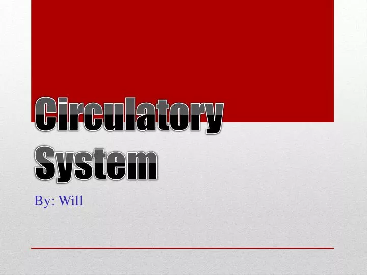 circulatory system