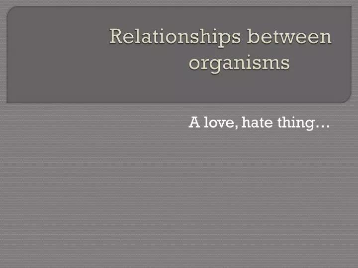 relationships between organisms