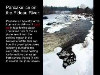 Pancake ice on the Rideau River: