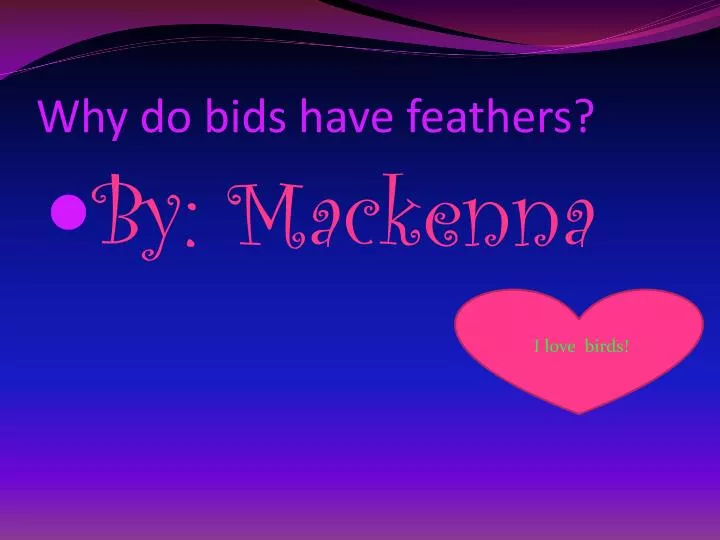why do bids have feathers