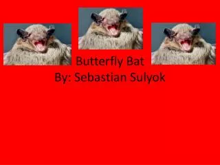 Butterfly Bat B y: S ebastian S ulyok