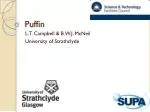 Puffin - slide 1