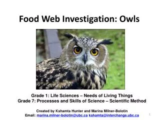 Food Web Investigation: Owls