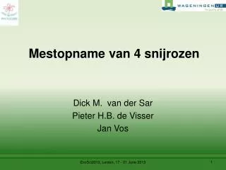 mestopname van 4 snijrozen