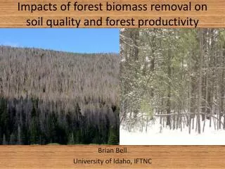 Impacts of forest biomass removal on soil quality and forest productivity