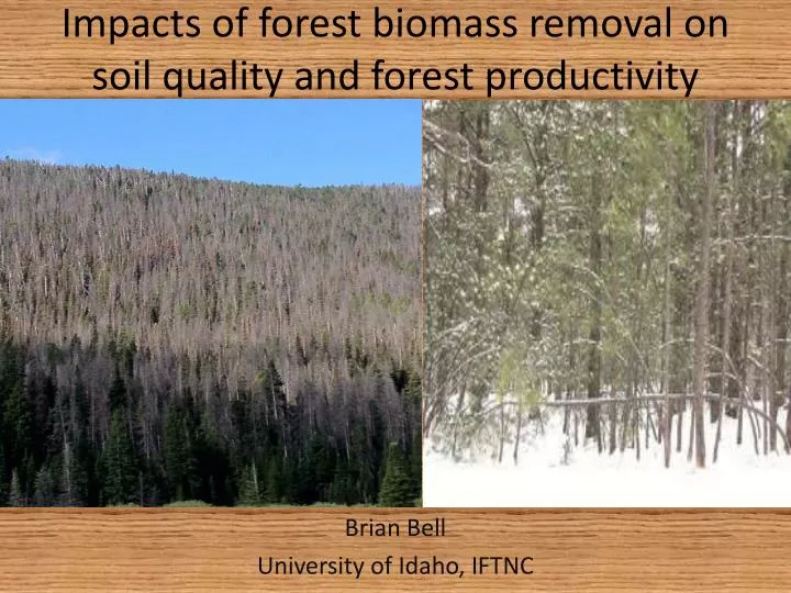 impacts of forest biomass removal on soil quality and forest productivity