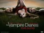 About The Vampire Diaries - slide 1
