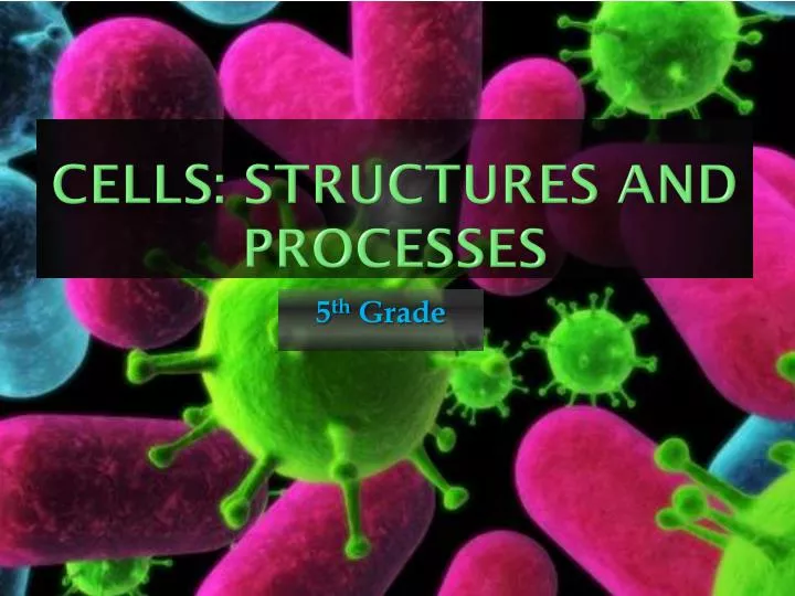 cells structures and processes
