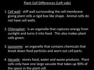 Plant Cell Differences (Left side)