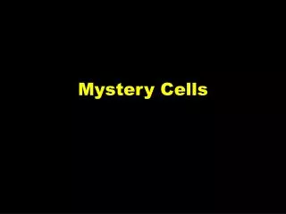 Mystery Cells