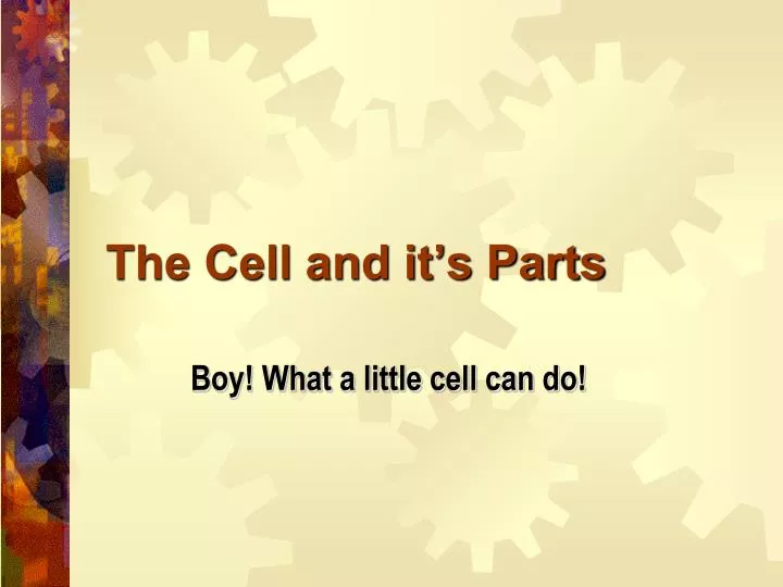 the cell and it s parts