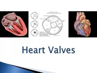 Heart Valves