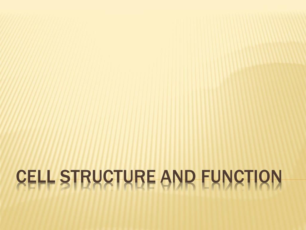 PPT - Cell Structure and Function PowerPoint Presentation, free ...