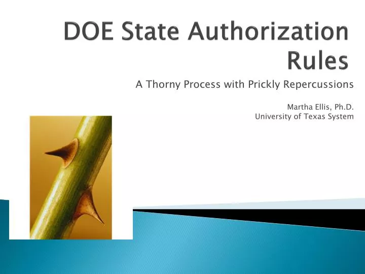 doe state authorization rules