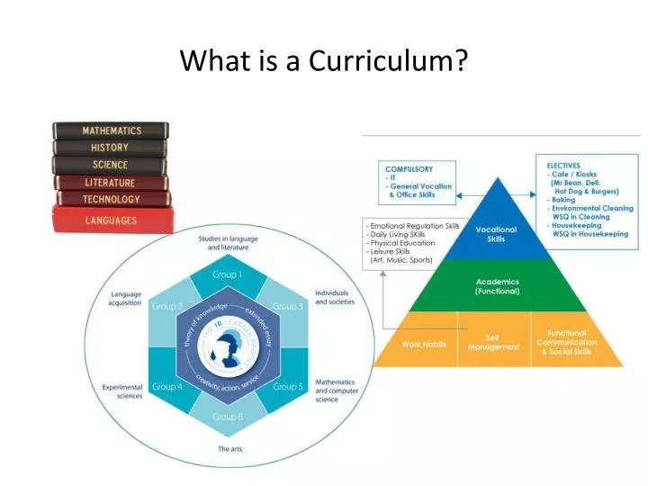 what is a curriculum