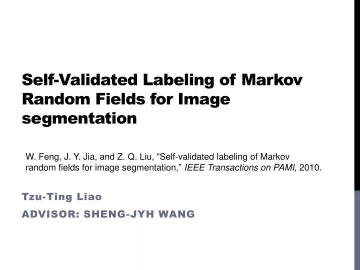 self validated labeling of markov random fields for image segmentation
