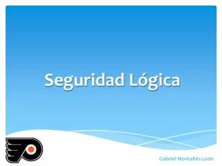 seguridad l gica