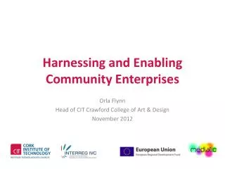 Harnessing and Enabling Community Enterprises