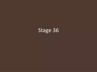 Stage 36
