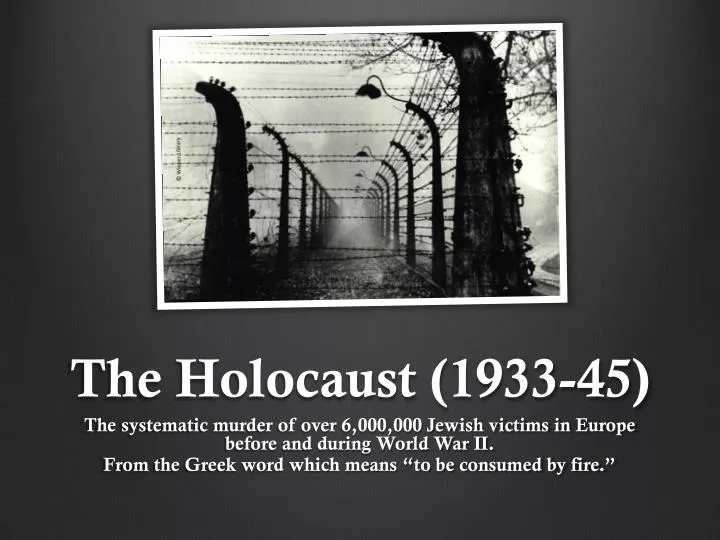 the holocaust 1933 45