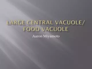 Large Central Vacuole/ Food Vacuole