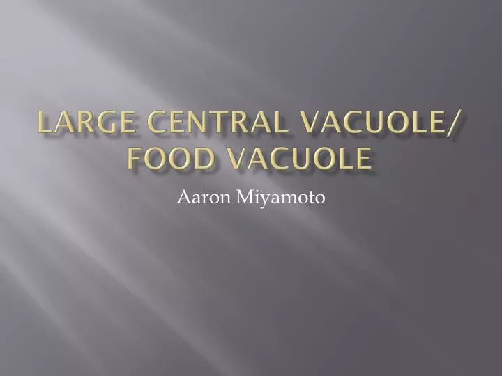 large central vacuole food vacuole