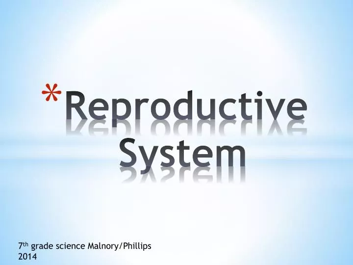 reproductive system