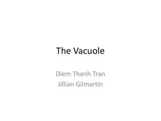The Vacuole
