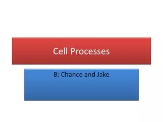 Cell Processes