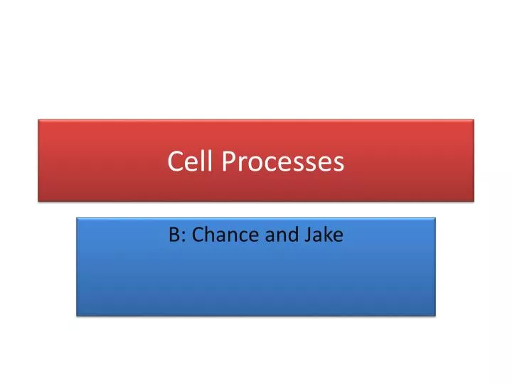 cell processes