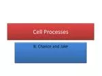Cell Processes - slide 1