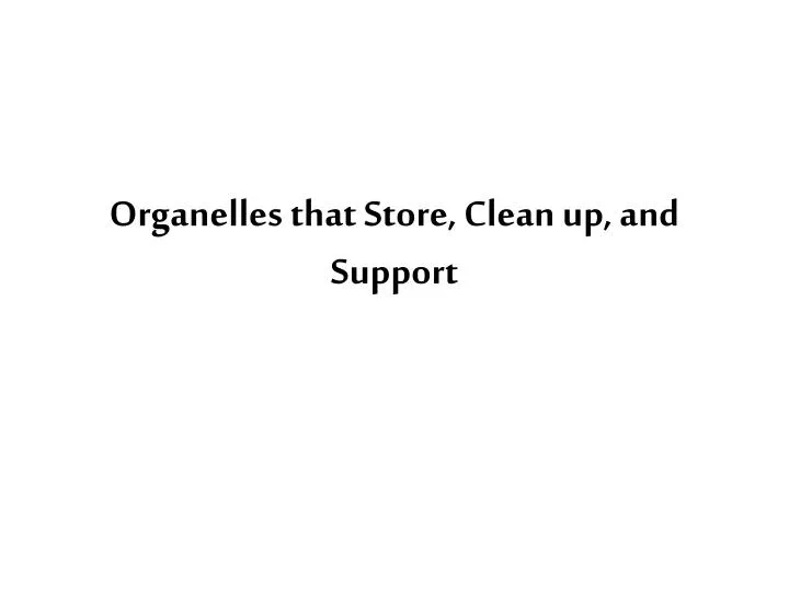 organelles that store clean up and support