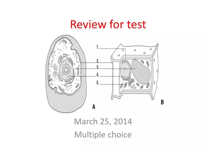review for test