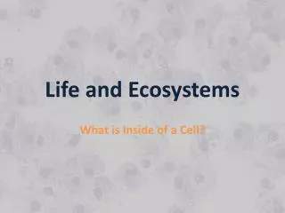Life and Ecosystems