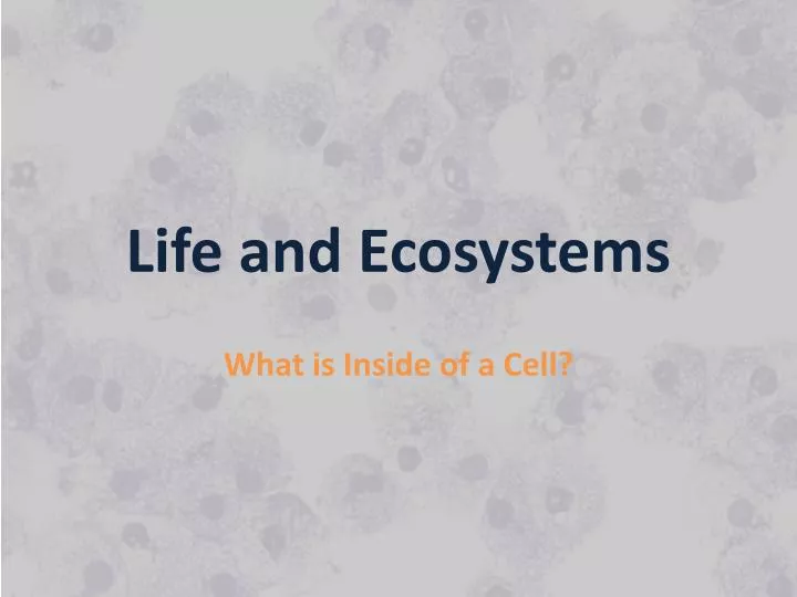 life and ecosystems