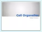 Cell Organelles - slide 1