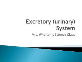 Excretory (urinary) System